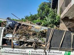 Best Carpet Removal and Disposal  in Red Rock, AZ