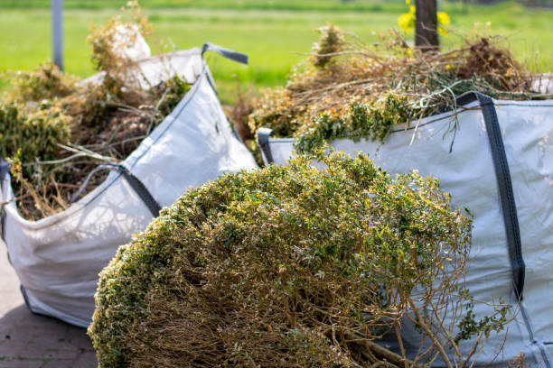 Best Property Management Cleanouts  in Red Rock, AZ